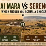 Masai Mara vs Serengeti comparison showing safari vehicles, wildlife, and landscapes to help travelers choose the best African safari destination.