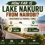 How far is Lake Nakuru from Nairobi, showing the driving route, safari vehicle, distance, travel time, and flamingos at Lake Nakuru National Park.